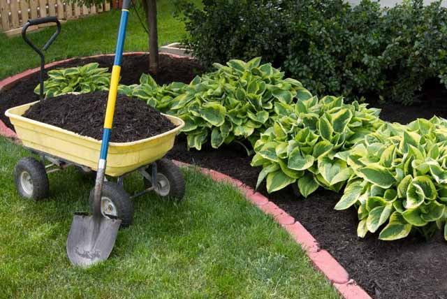 garden mulch